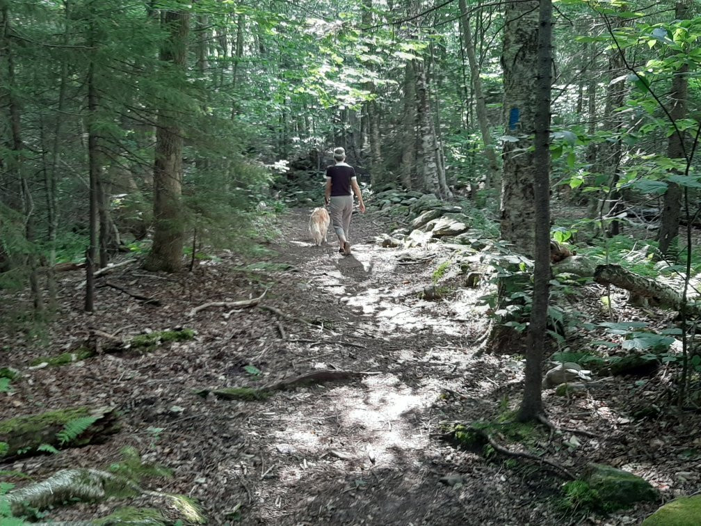 Molly Stark Trail-本宁顿必去景点