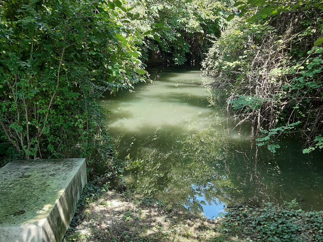 Bagno di Barbarano-Barbarano Vicentino必去景点