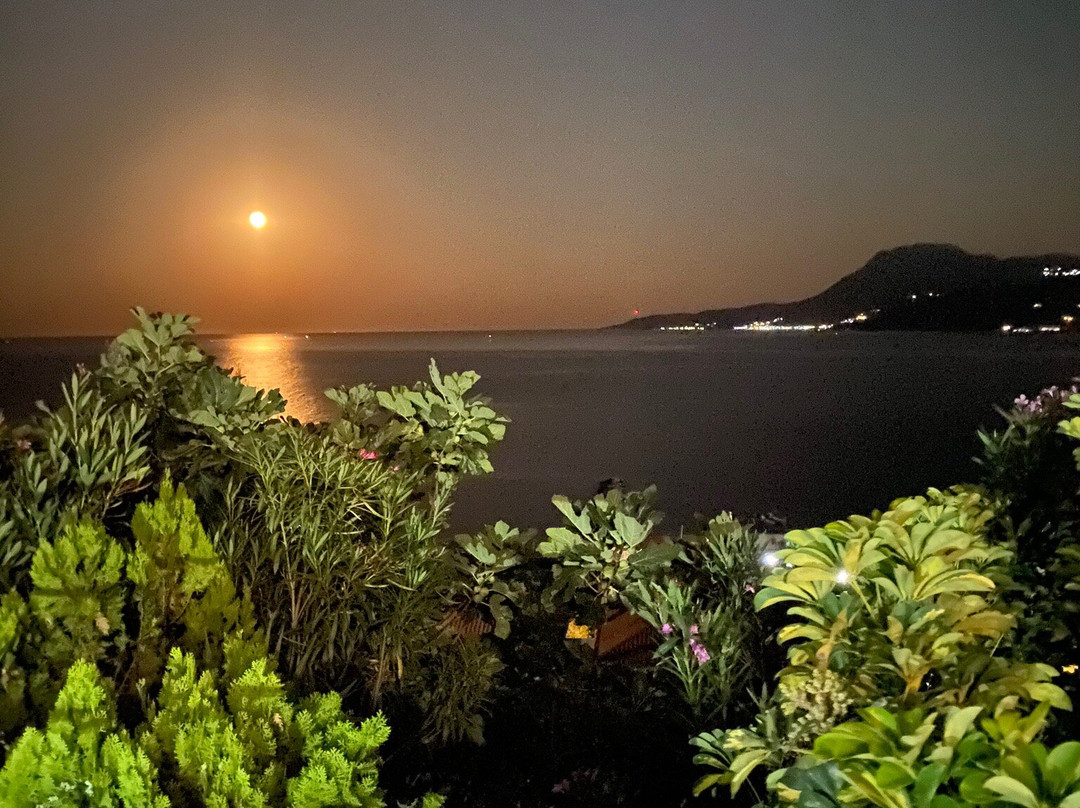 Panorama Hotel主图