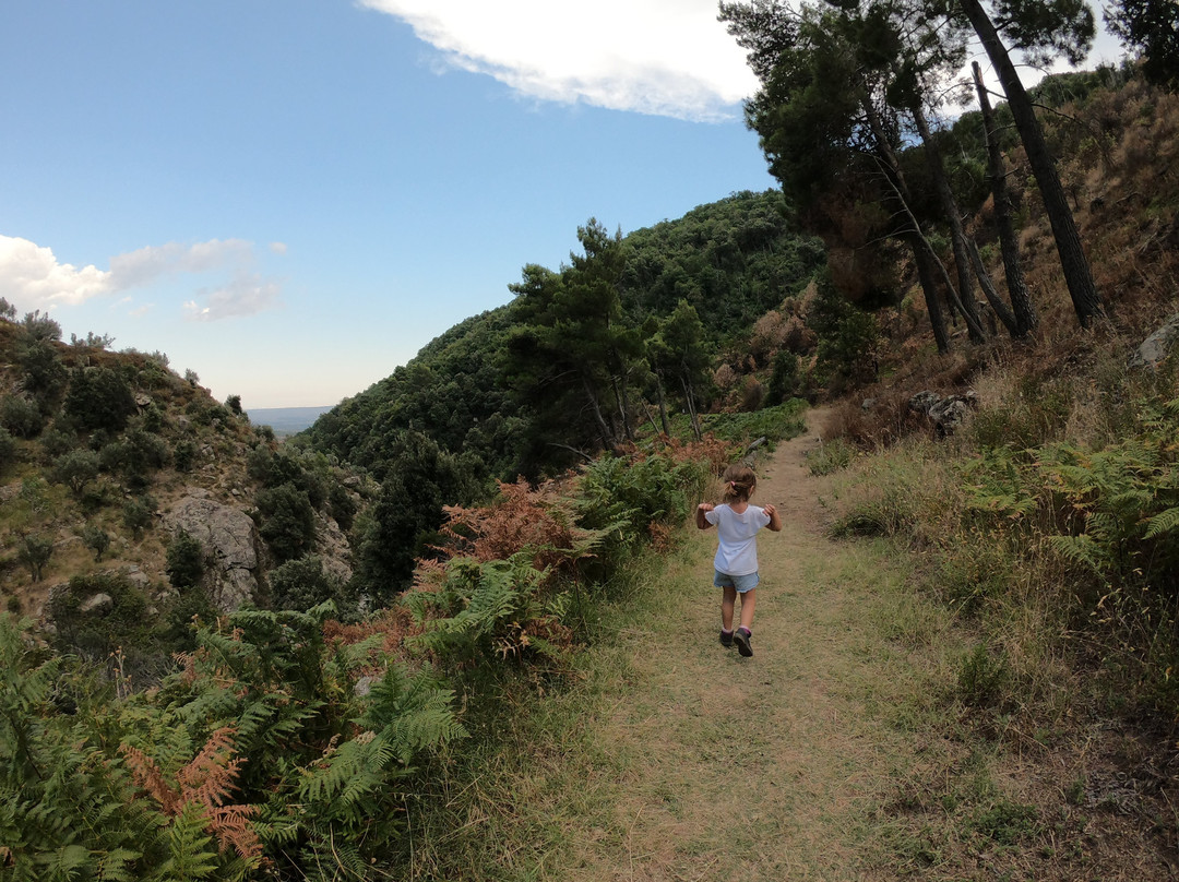Parco Fluviale del Vergari-Mesoraca必去景点