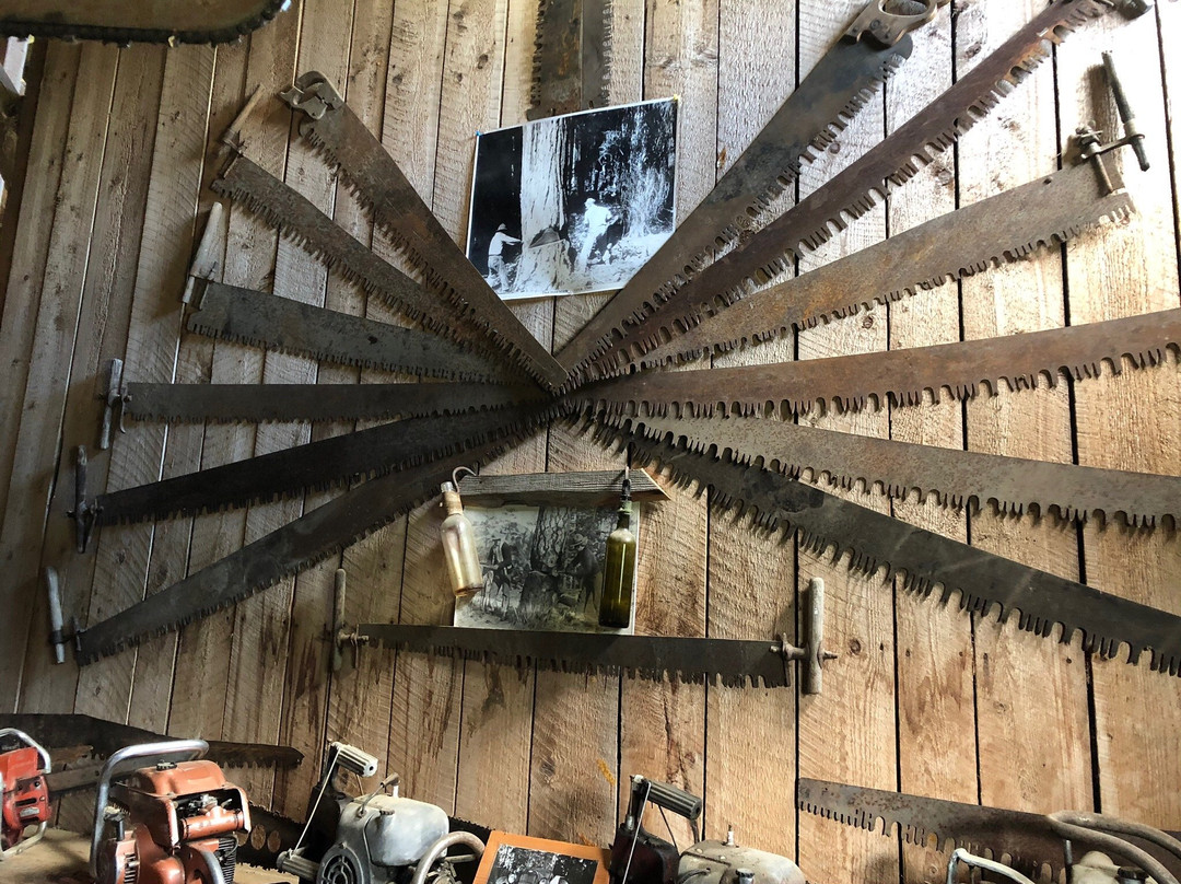 Son Ranch Timber Co景点图片
