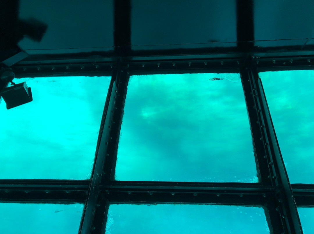 Key Largo Princess Glass Bottom Boat景点图片