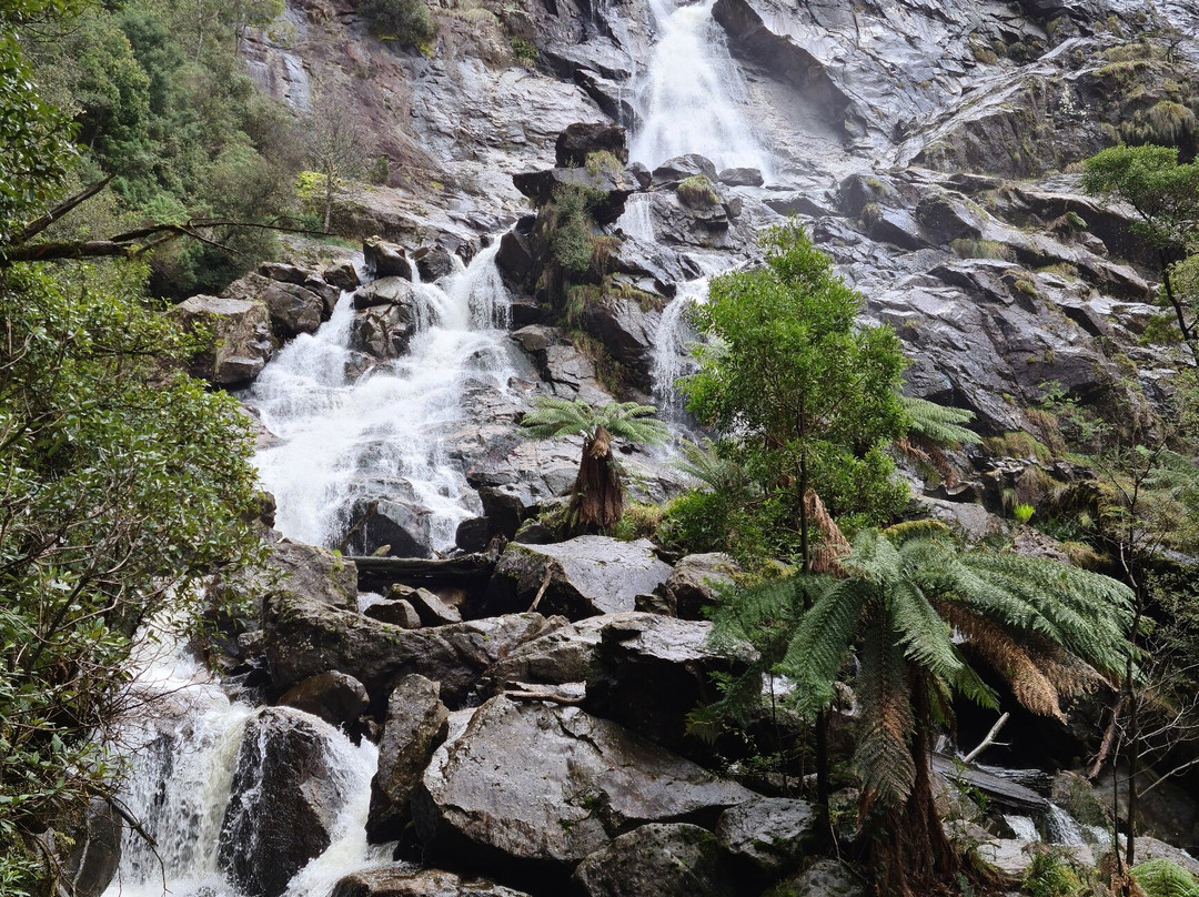 St Columba Falls Reserve景点图片