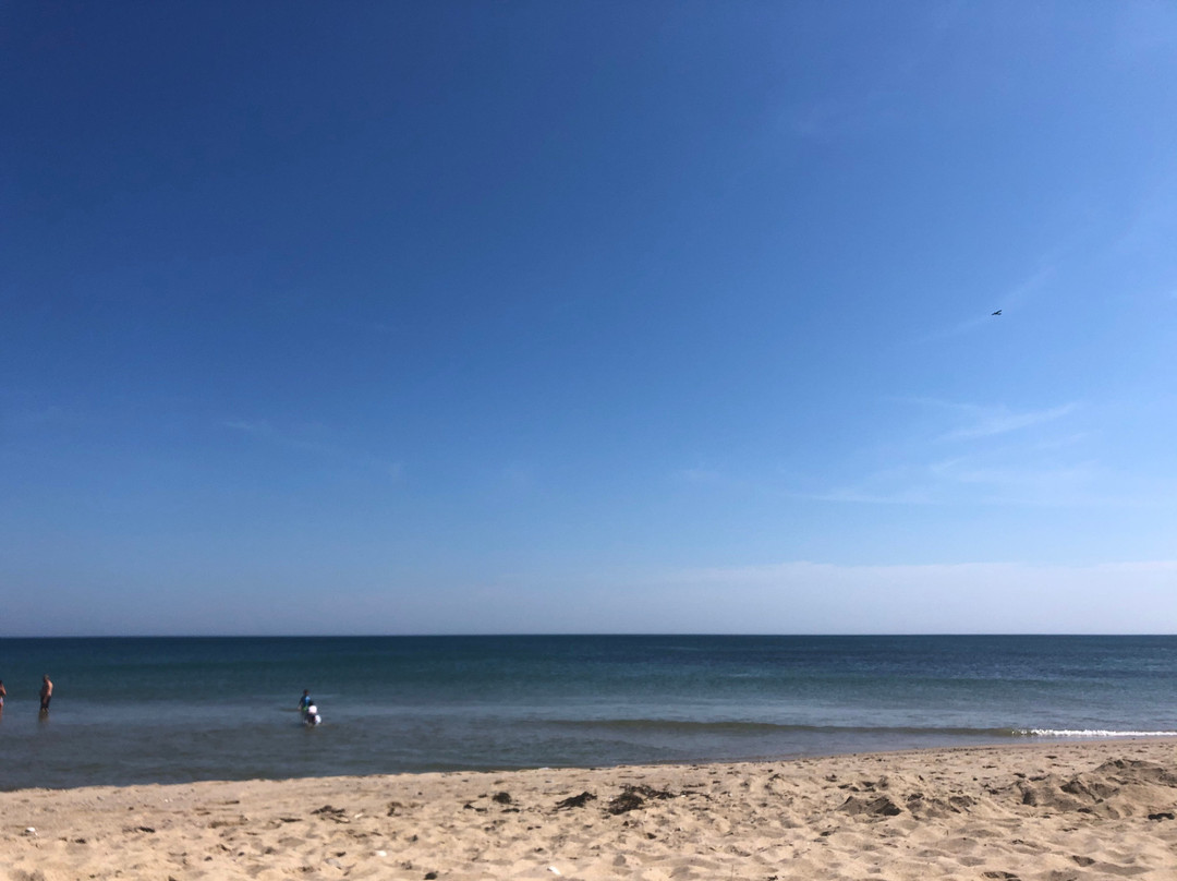 Head of the Meadow Beach景点图片