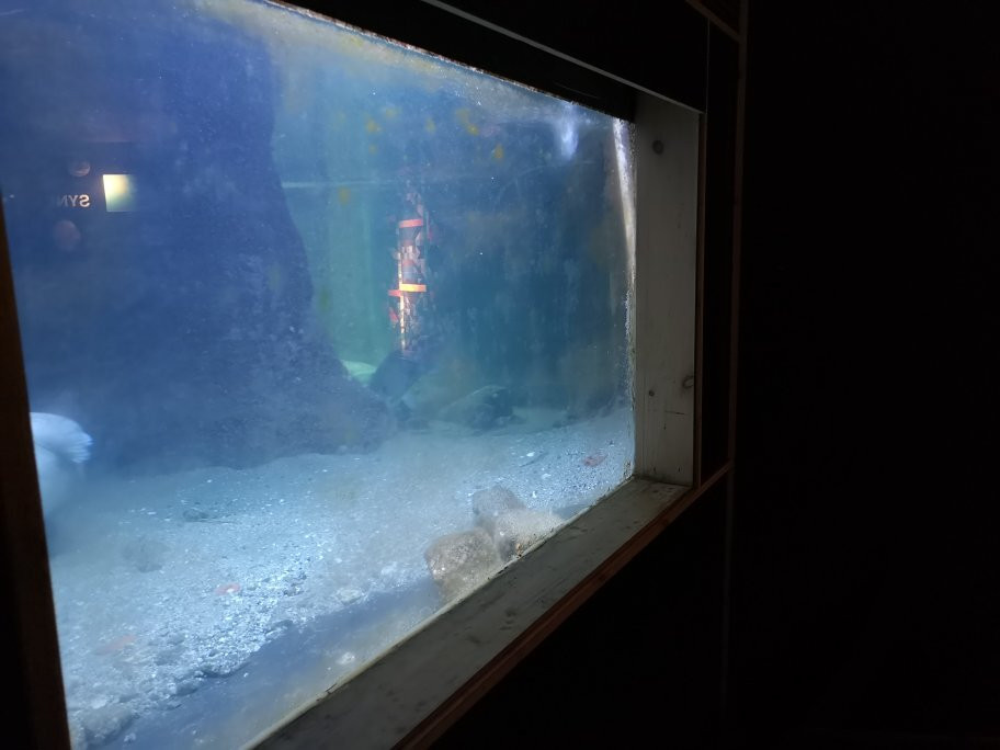Sognefjord Akvarium景点图片