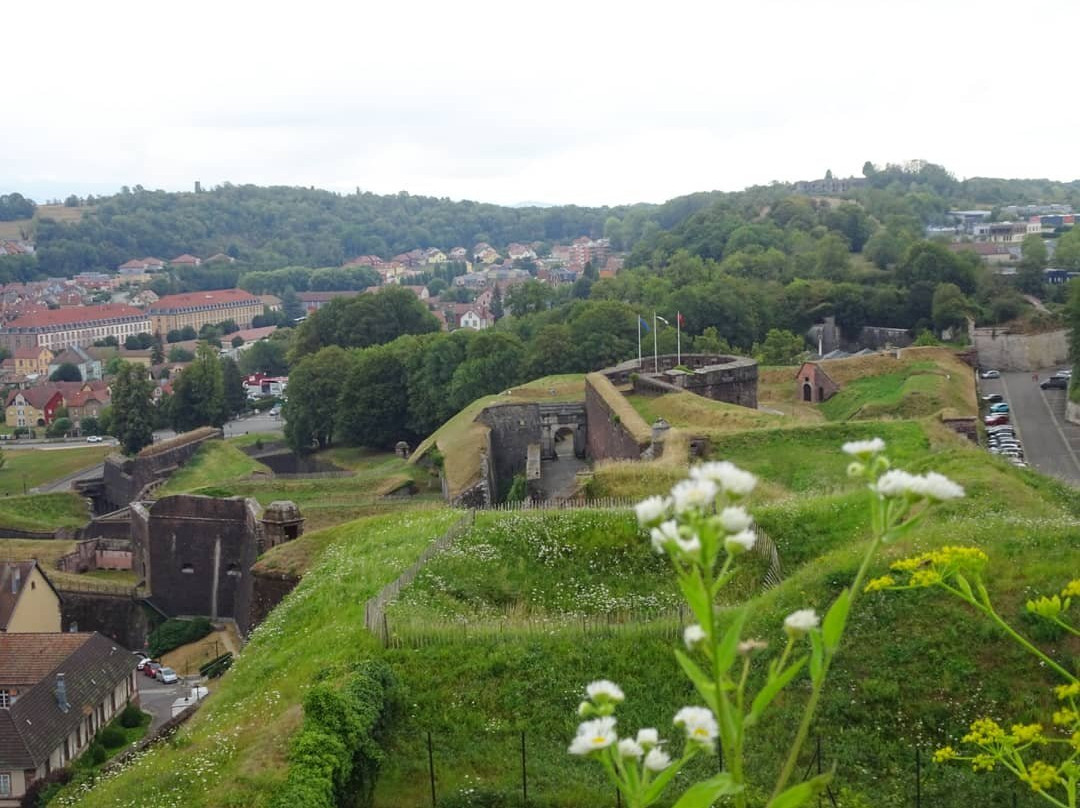 Belfort Citadel & The Lion of Belfort景点图片