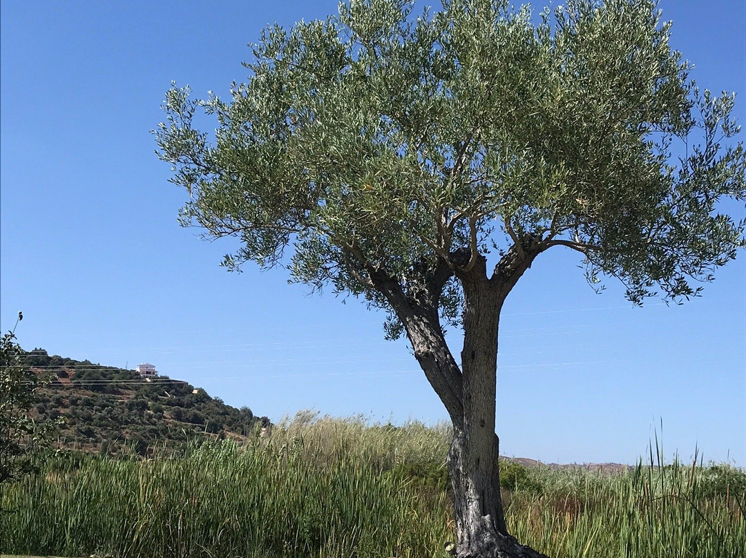 Tapada Do Gramacho主图