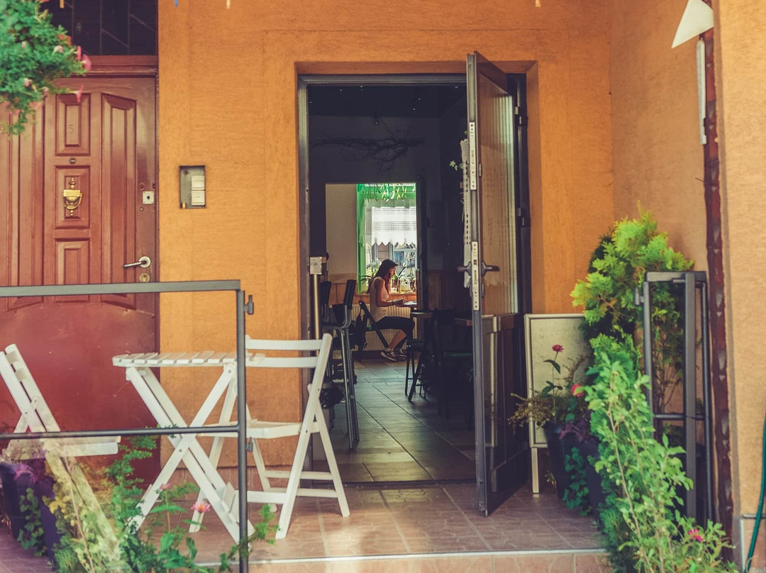 Zielony Talerzyk主图