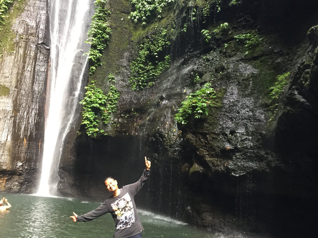 Sekumpul Waterfall Tour景点图片