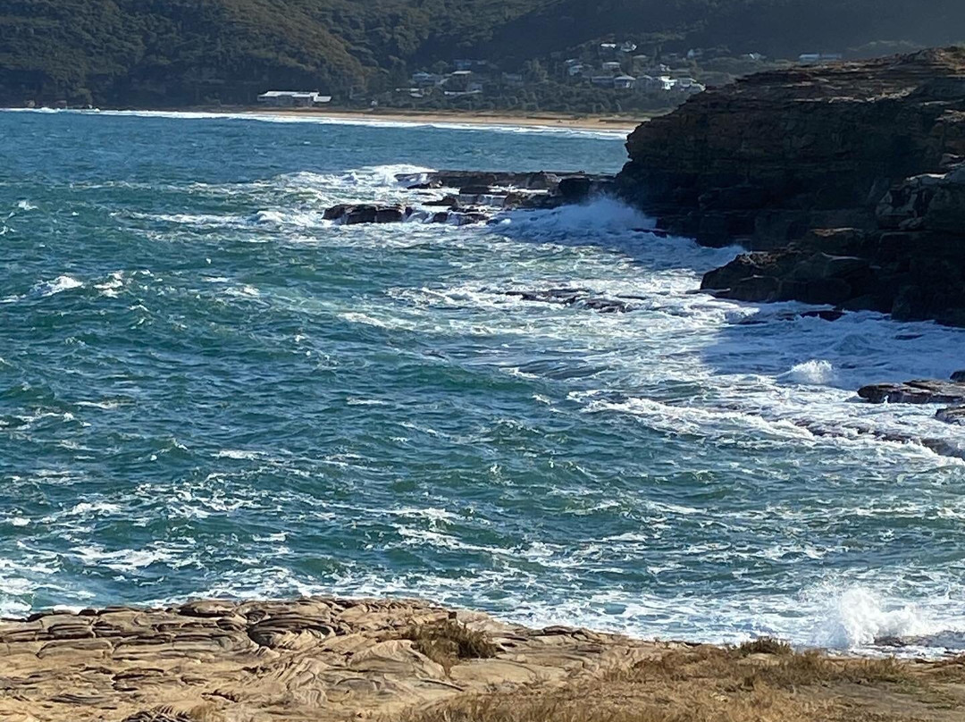 Bouddi National Park景点图片