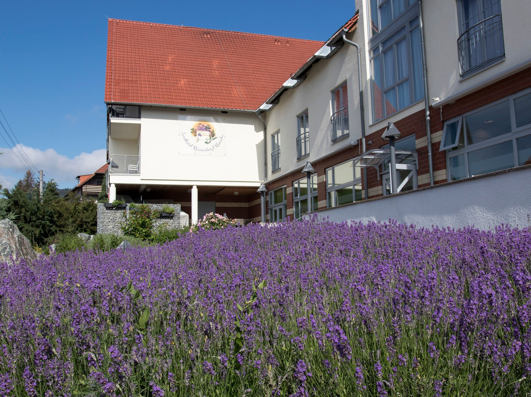 Landhotel Kraeuterberg’l Kreischa主图