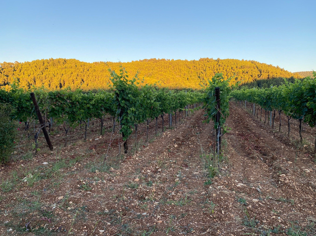 Tenuta Padre Pio-维耶斯泰必去景点