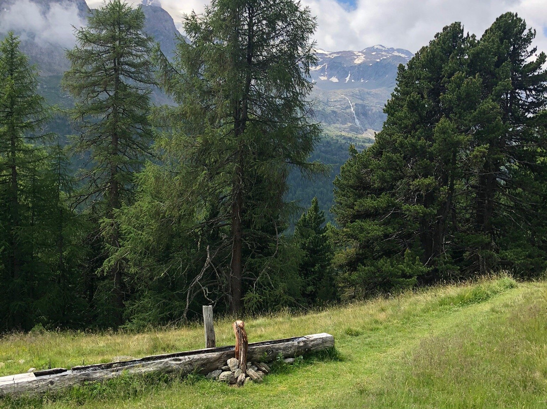 Hotel Bergfrieden主图