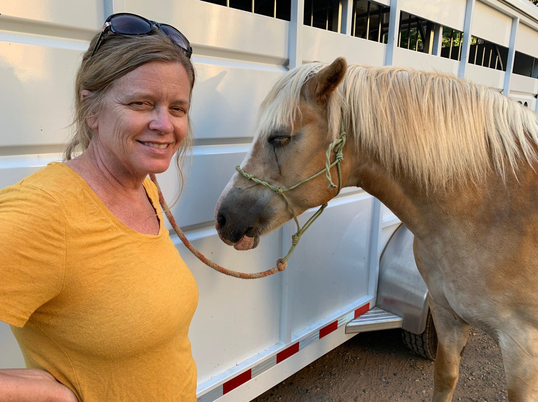 Sheridan Creek Outfitters-Shingletown必去景点