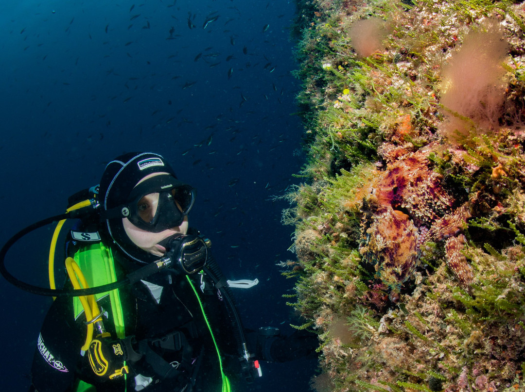 Aqualis Diving Center Hvar景点图片