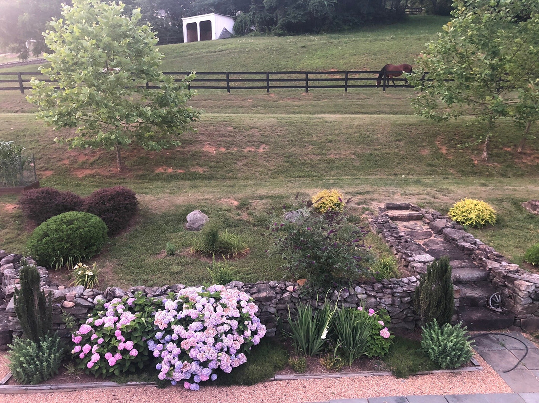 Black Dog Farm at Mount Welby主图