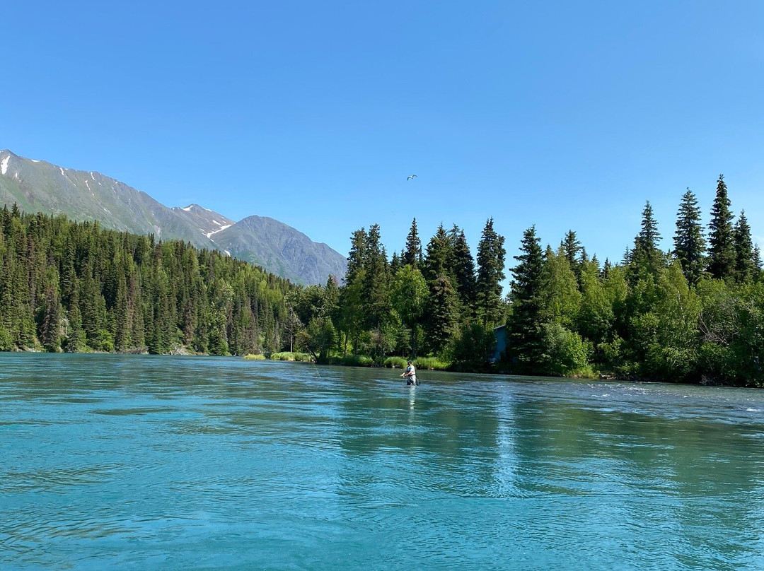Alaska River Adventures - Day Tours景点图片