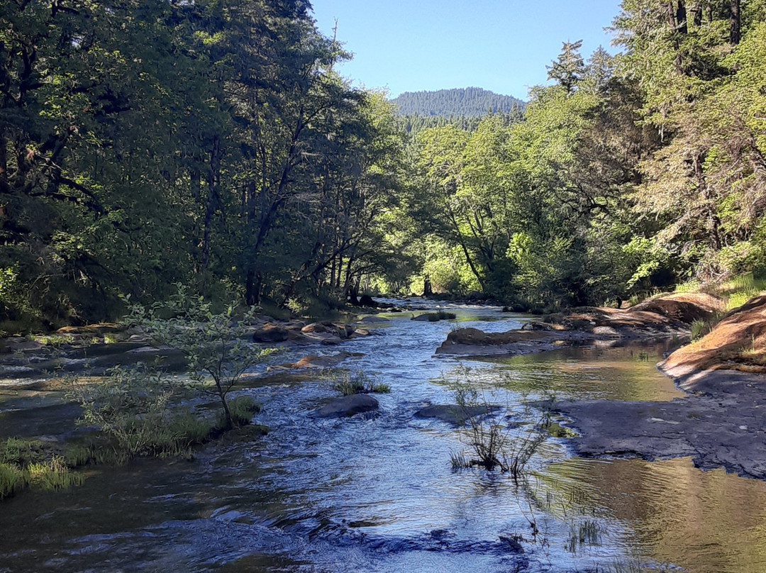 Wolf Creek Falls Trail景点图片