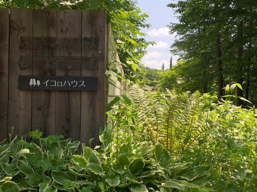 Ikoro no Mori-苫小牧市必去景点