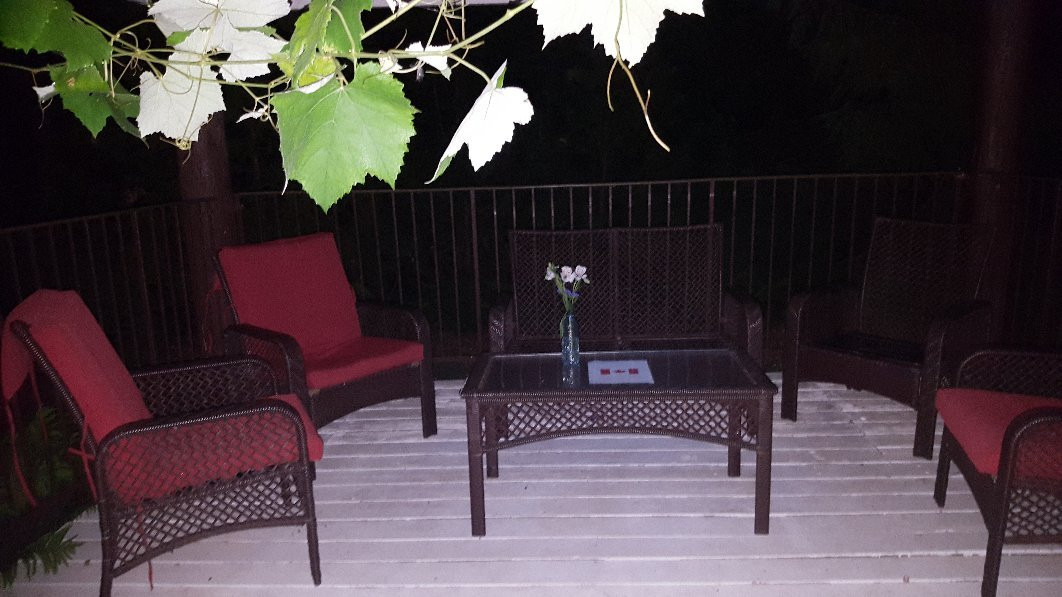 Pine Dale Motor Inn主图