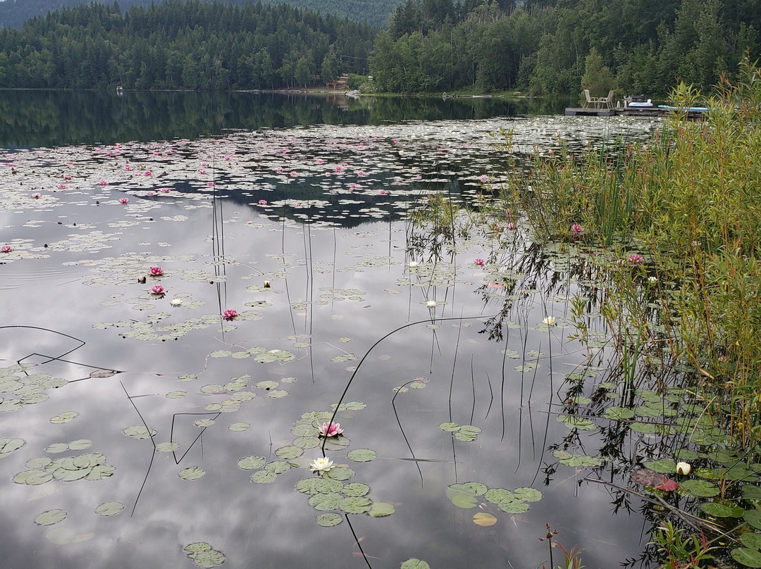 碧玉路旅馆主图