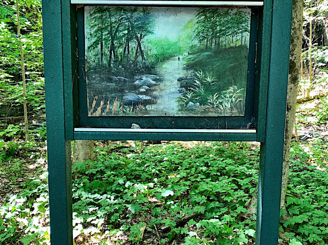 Highland Pond-格林菲尔德必去景点