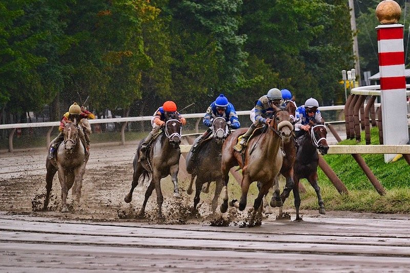 Saratoga Track Tours景点图片
