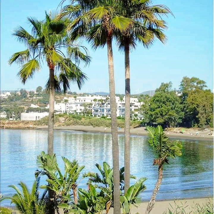 Del Cristo Beach景点图片