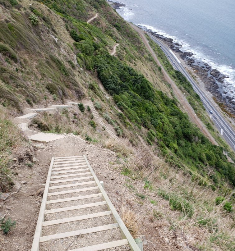 Paekakariki Escarpment Walkway景点图片