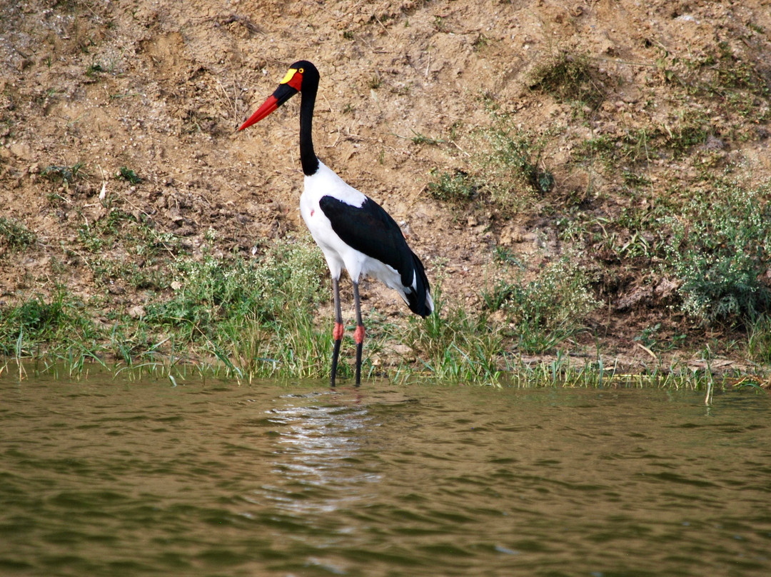 Golden Trekkers-Ruhengeri必去景点