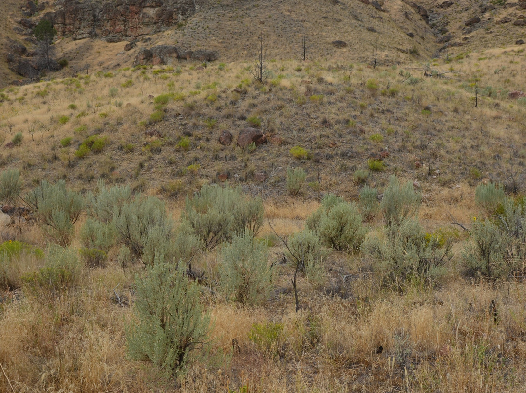 John Day National Monument - Clarno Unit景点图片