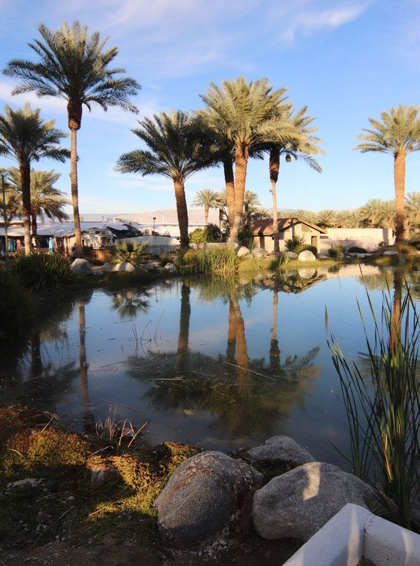 Shields Date Garden-印第奥必去景点