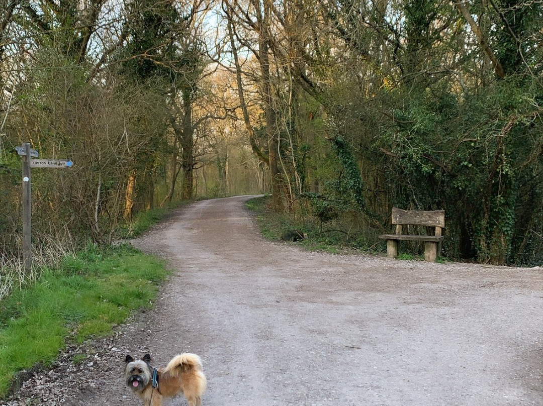 Horton Country Park景点图片