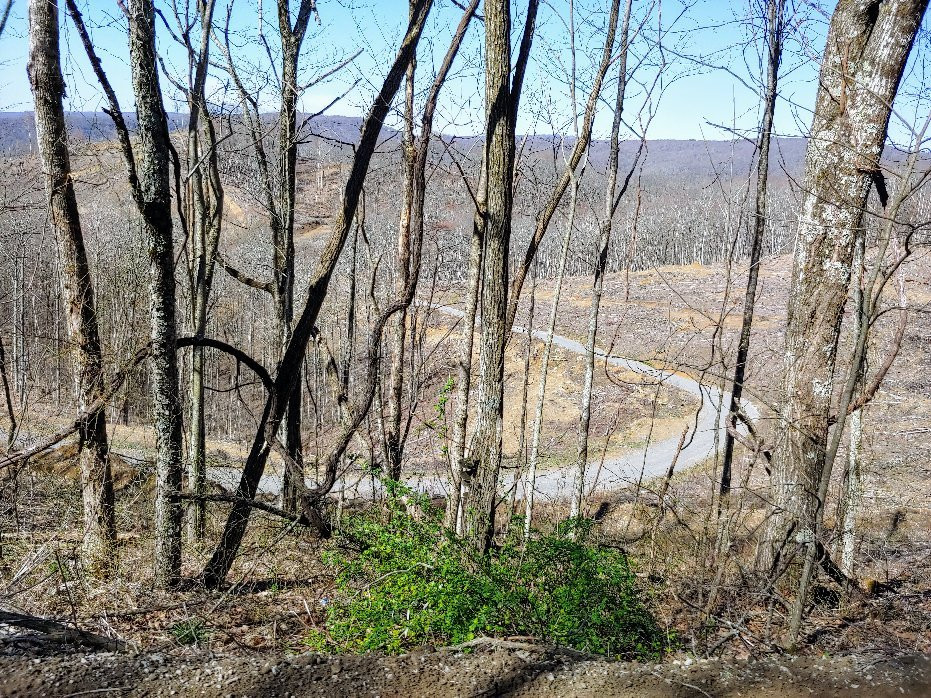 George Washington & Jefferson National Forests-Millboro必去景点