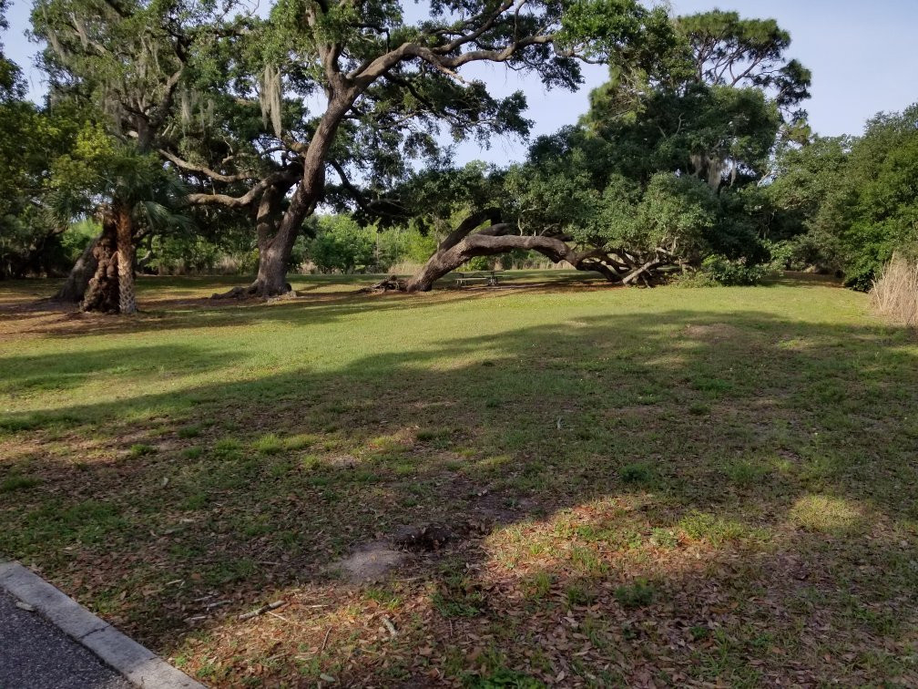 Ream Wilson Clearwater Trail-克利尔沃特必去景点