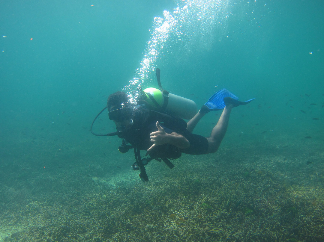 Namloo Divers - Day Diving景点图片