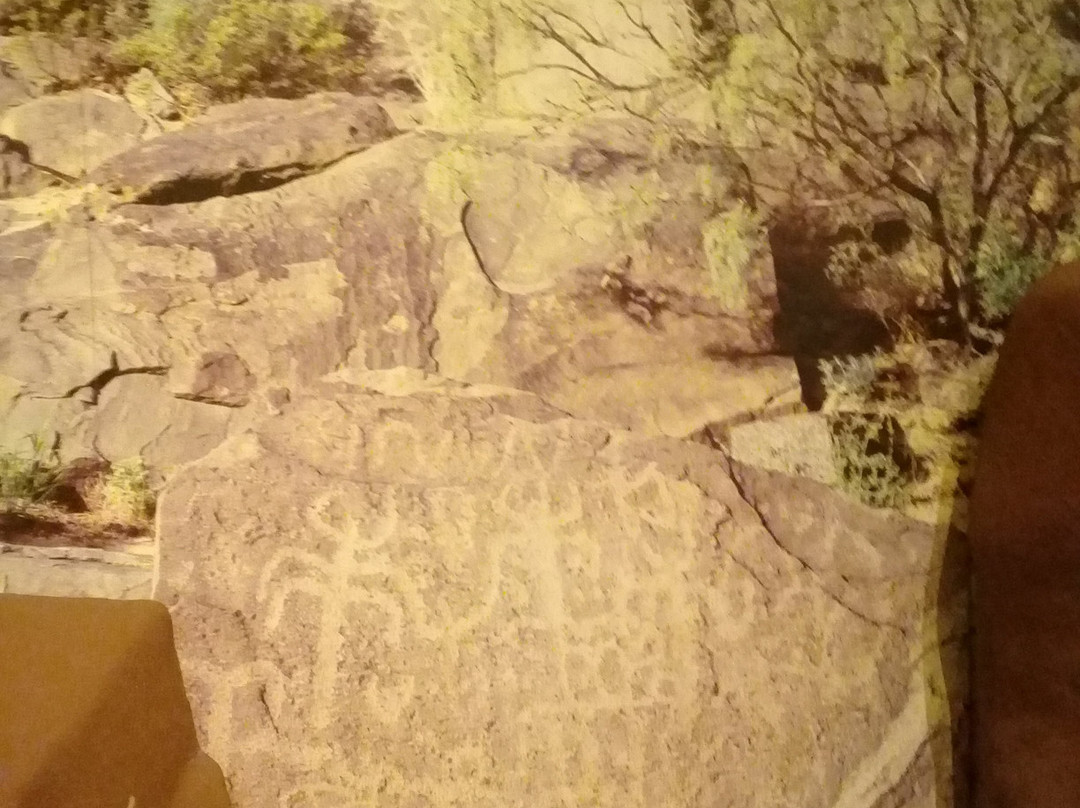 Museo Casa Chihuahua-奇瓦瓦州必去景点