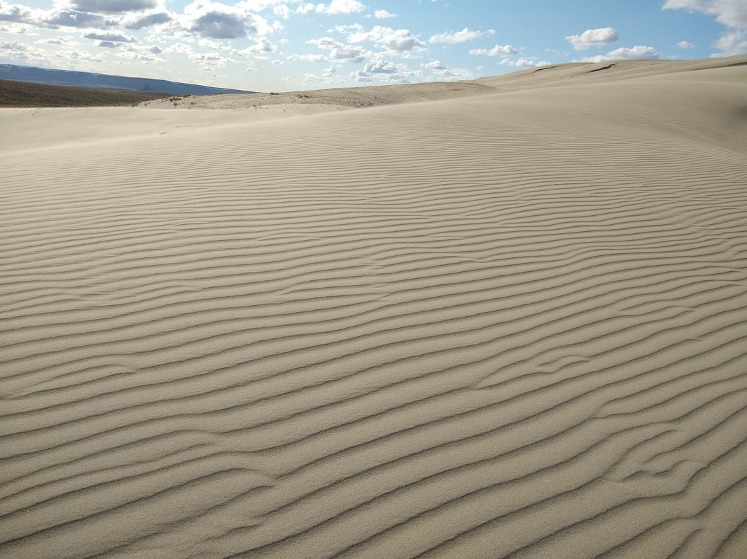 Killpecker Sand Dunes景点图片