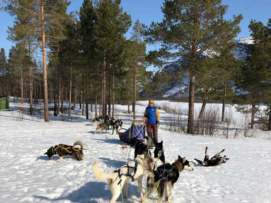 Trasti & Trine AS-阿尔塔必去景点