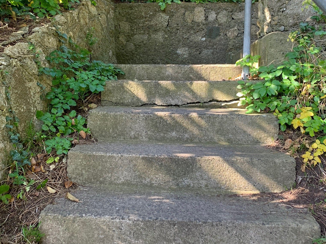 The Cat's Ladder-达尔基必去景点