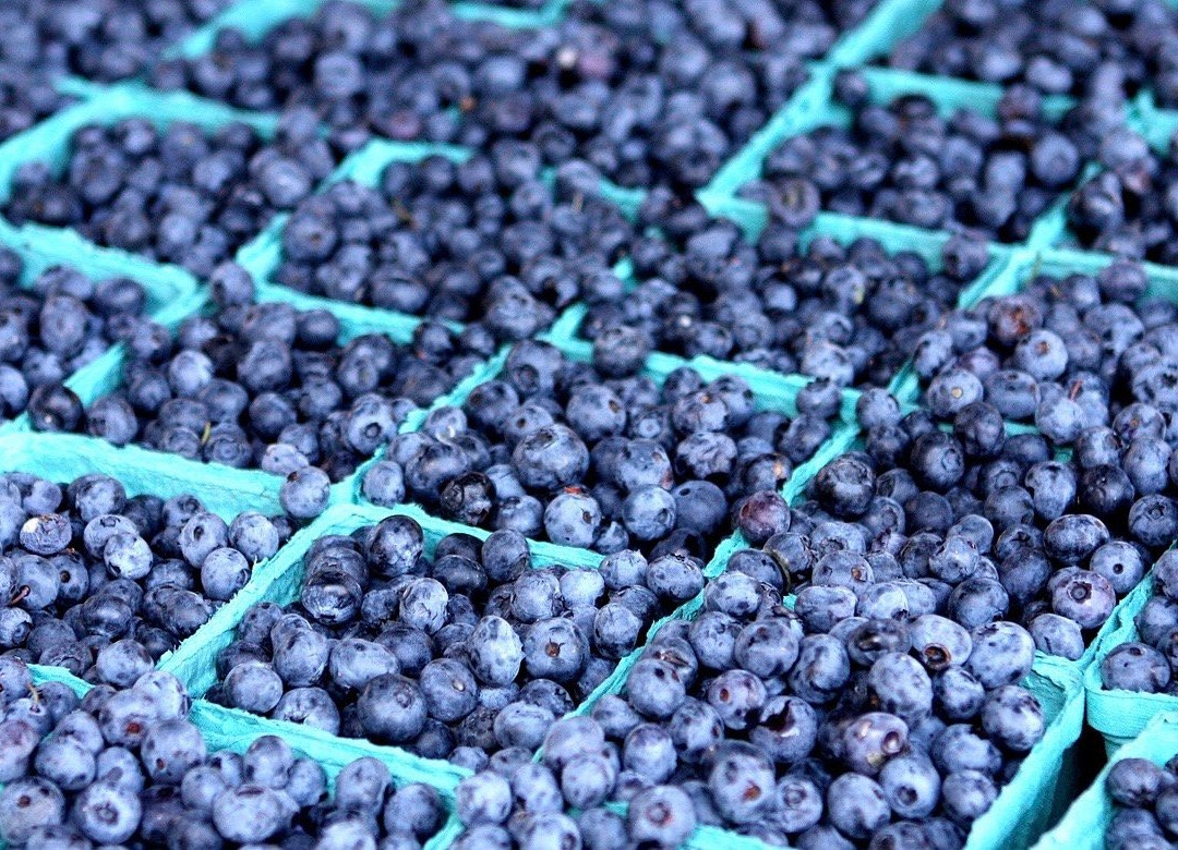 Boa Vista Orchards-普莱瑟维尔必去景点