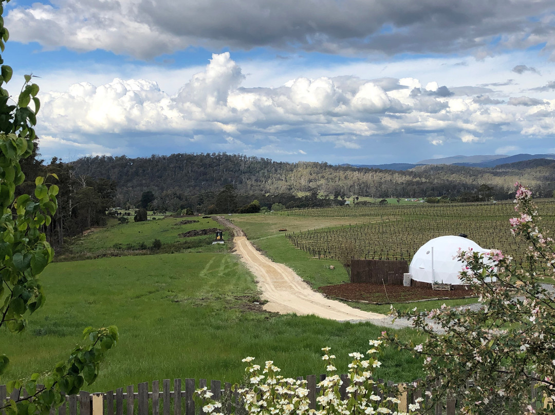 精品休闲之旅-朗塞斯顿必去景点