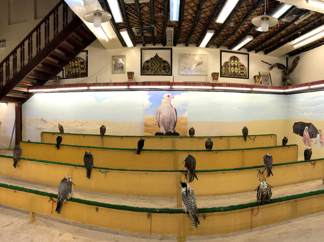 2025年2月Souq Waqif Falcon Hospital景点攻略-Souq Waqif Falcon Hospital门票预订|地址 ...