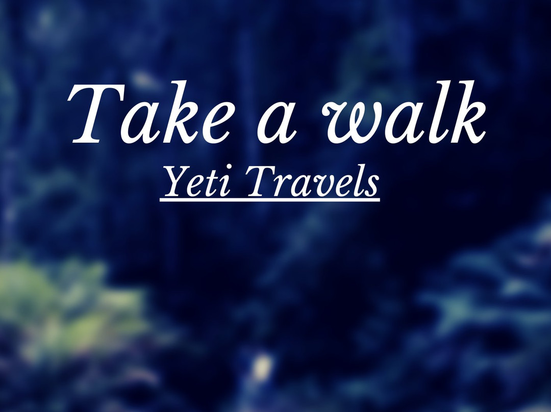 Yeti Travels-Zirakpur必去景点