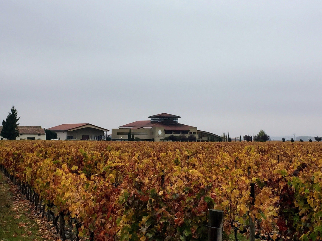 Bodegas Finca La Emperatriz景点图片