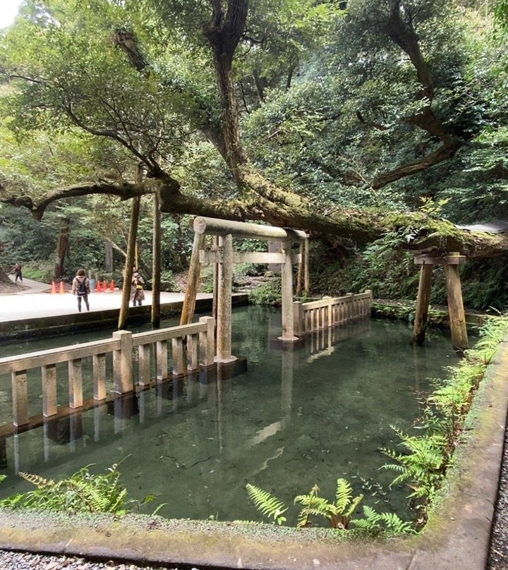 Mitarashi Pond-鹿岛市必去景点
