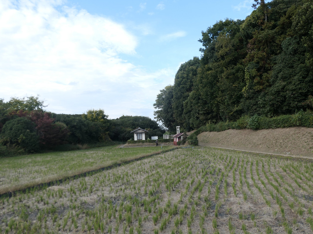 Hashihaka-樱井市必去景点