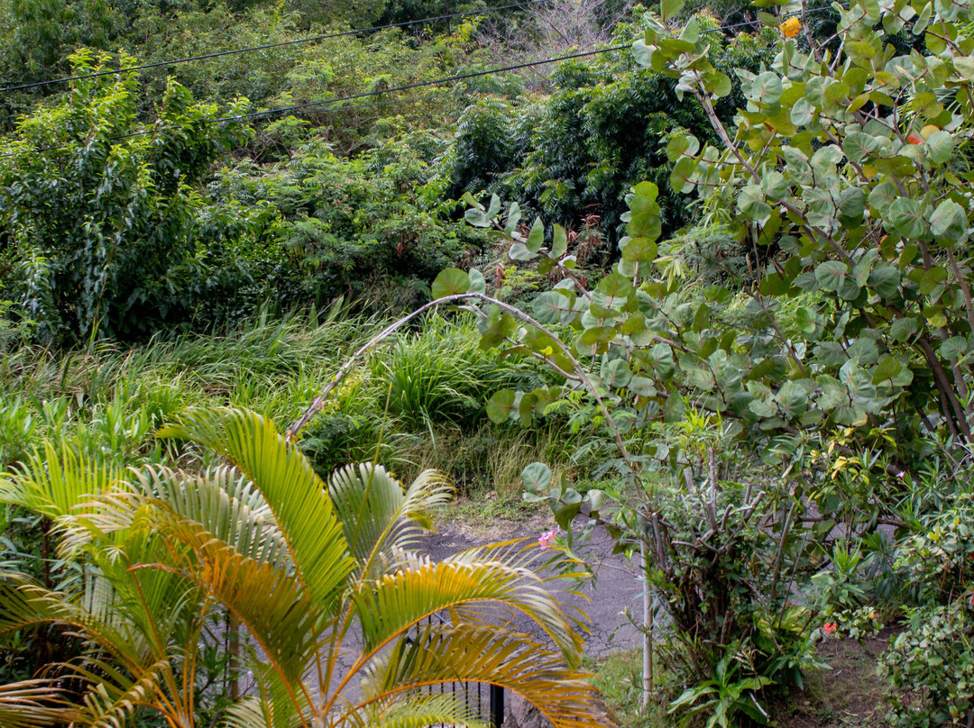 Essence Guesthouse主图