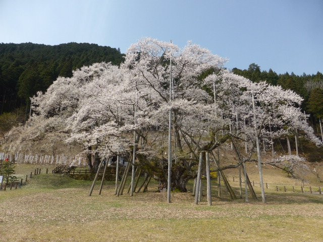 Usuzumi Park景点图片
