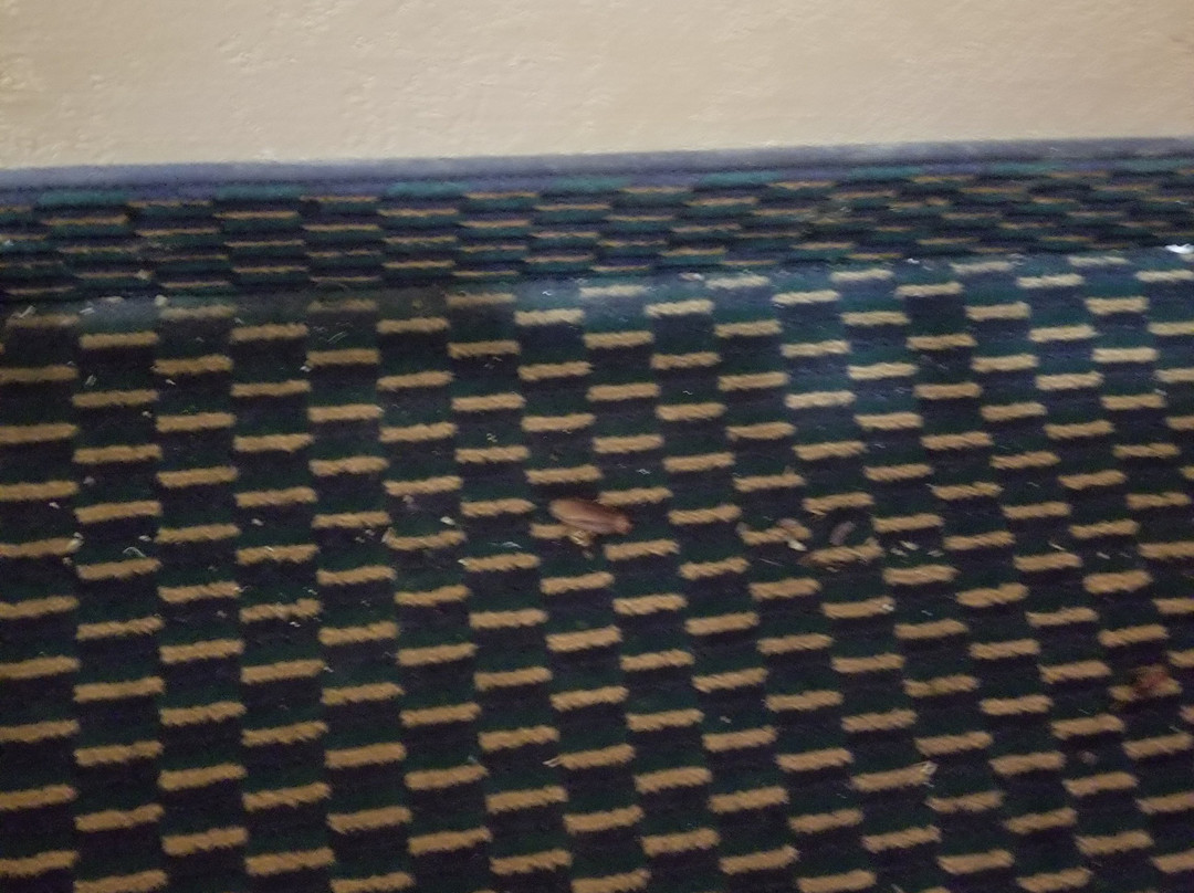 Holiday Terrace Motel Houston主图